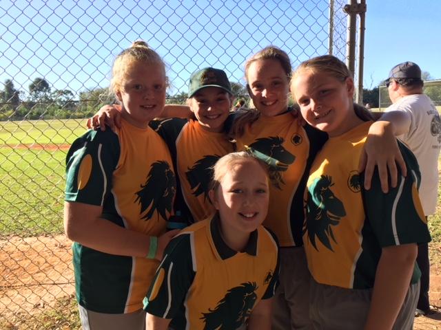 softball zone softball zone